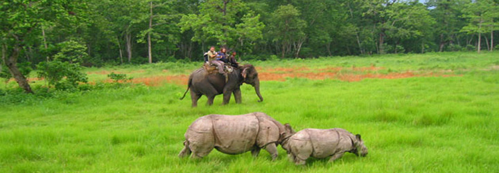 Kathmandu Nagarkot Chitwan Pokhara Tour