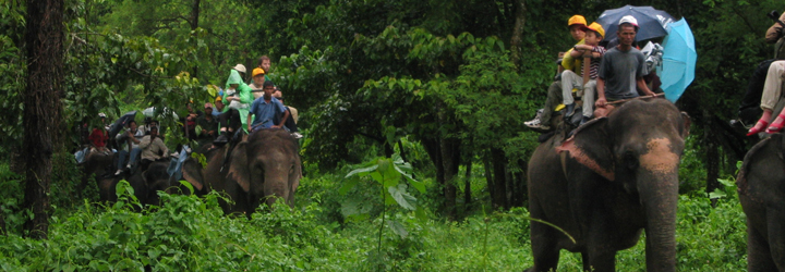 Chitwan Jungle Safari