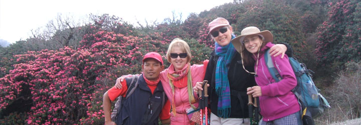 Annapurna Region Trekking