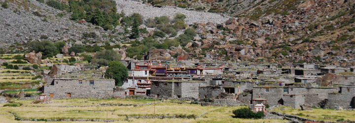 limi valley